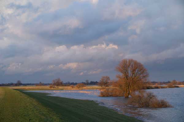 Goldene Elbe in der Abendsonne